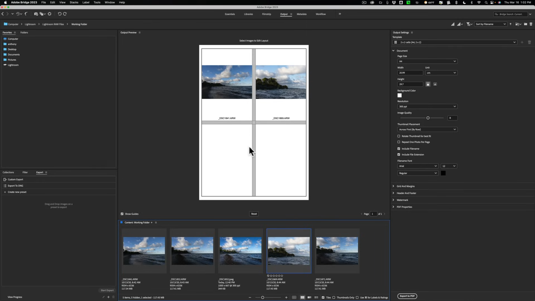 Adobe Bridge 2025 Review