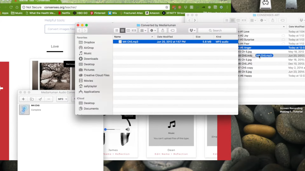 MediaHuman YouTube Downloader full setup download