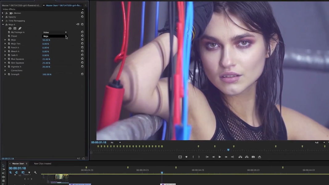 Red Giant Magic Bullet Suite Free Download