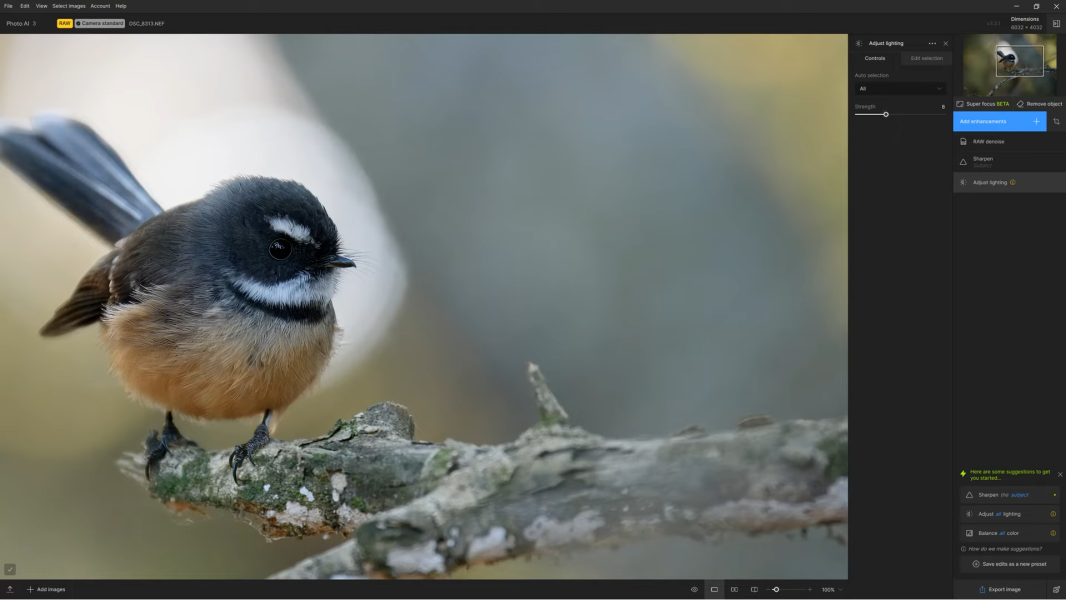 Topaz Labs AI Gigapixel crack